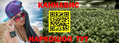 сатива Моздок