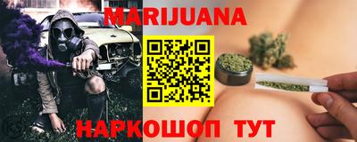 сатива Моздок