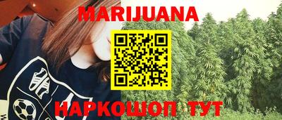 сатива Моздок