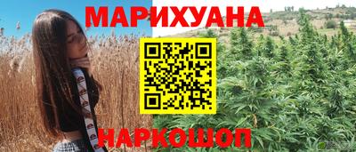 сатива Моздок
