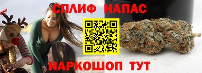 кокс Можга