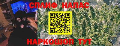 кокс Можга