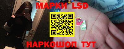 сатива Моздок